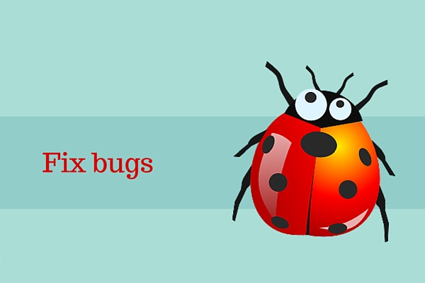 bug(英語單詞)