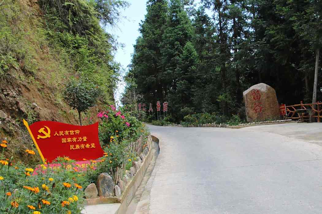 苗谷村 苗谷村