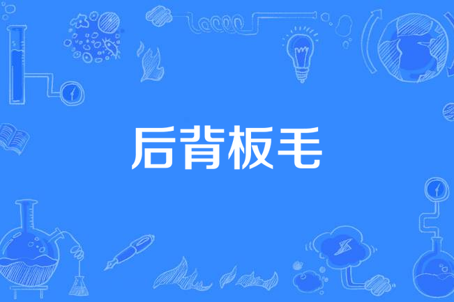 後背板毛 後背板毛