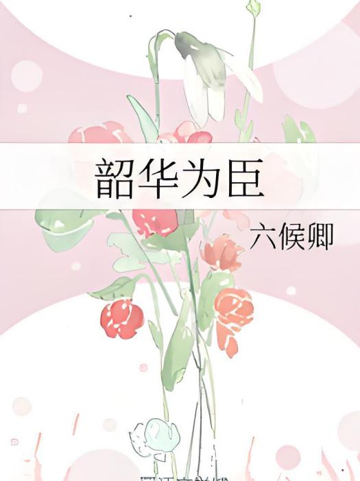 韶華為臣 韶華為臣
