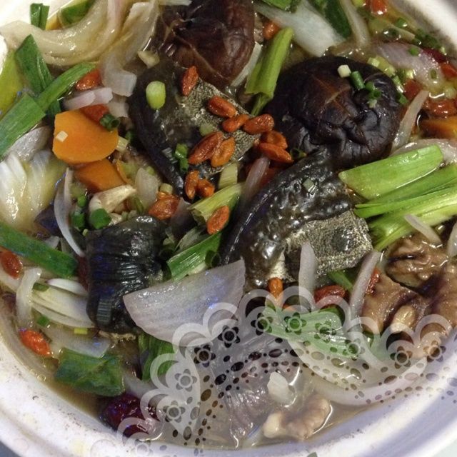 甲魚煲 甲魚煲