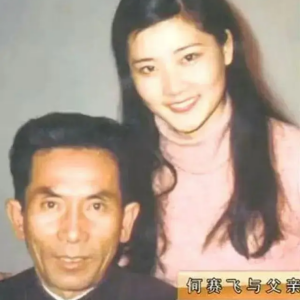 何賽飛