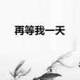 再等我一天 再等我一天