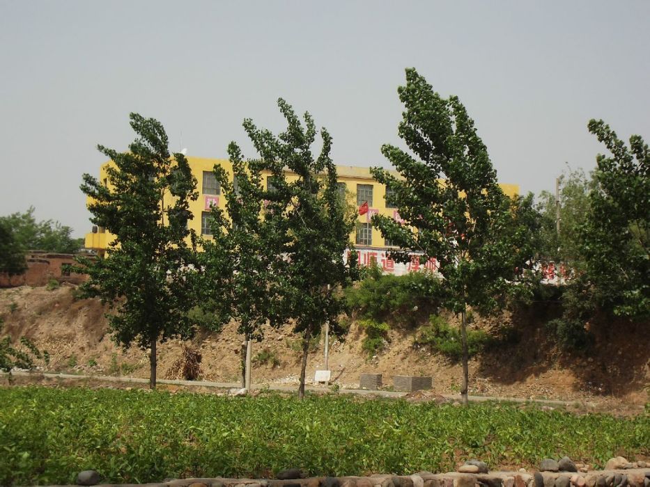 龍堂院 龍堂院