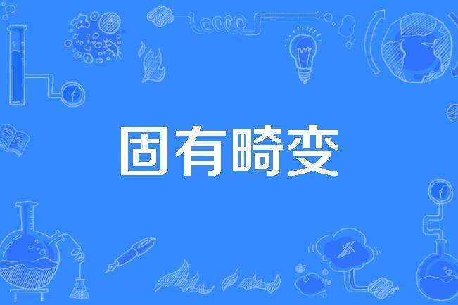 固有畸變 固有畸變