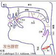 發出元音 發出元音
