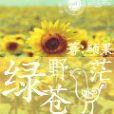 綠野蒼茫 綠野蒼茫