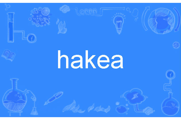hakea hakea