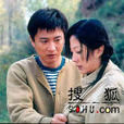 一起走過的日子(2007年中國大陸電視劇)