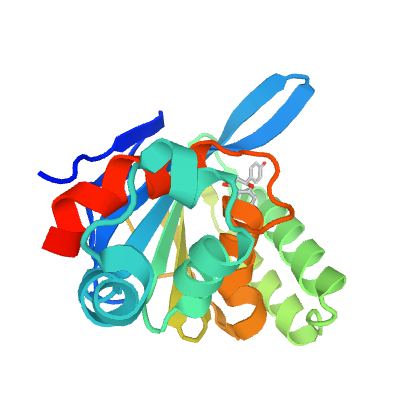 蛋白質三級結構