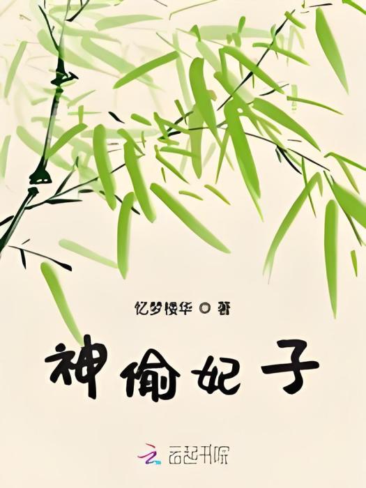 神偷妃子 神偷妃子