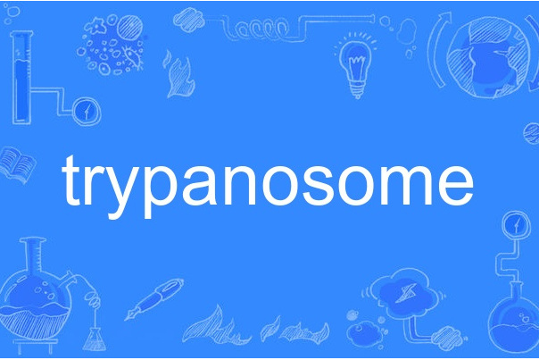trypanosome trypanosome