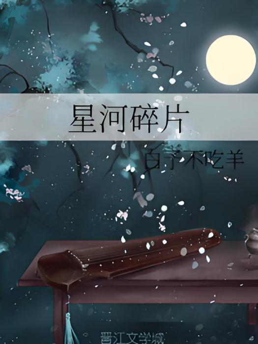 星河碎片 星河碎片