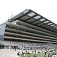 東京競馬場 東京競馬場