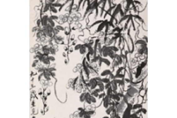 野藤蜻蜓 野藤蜻蜓
