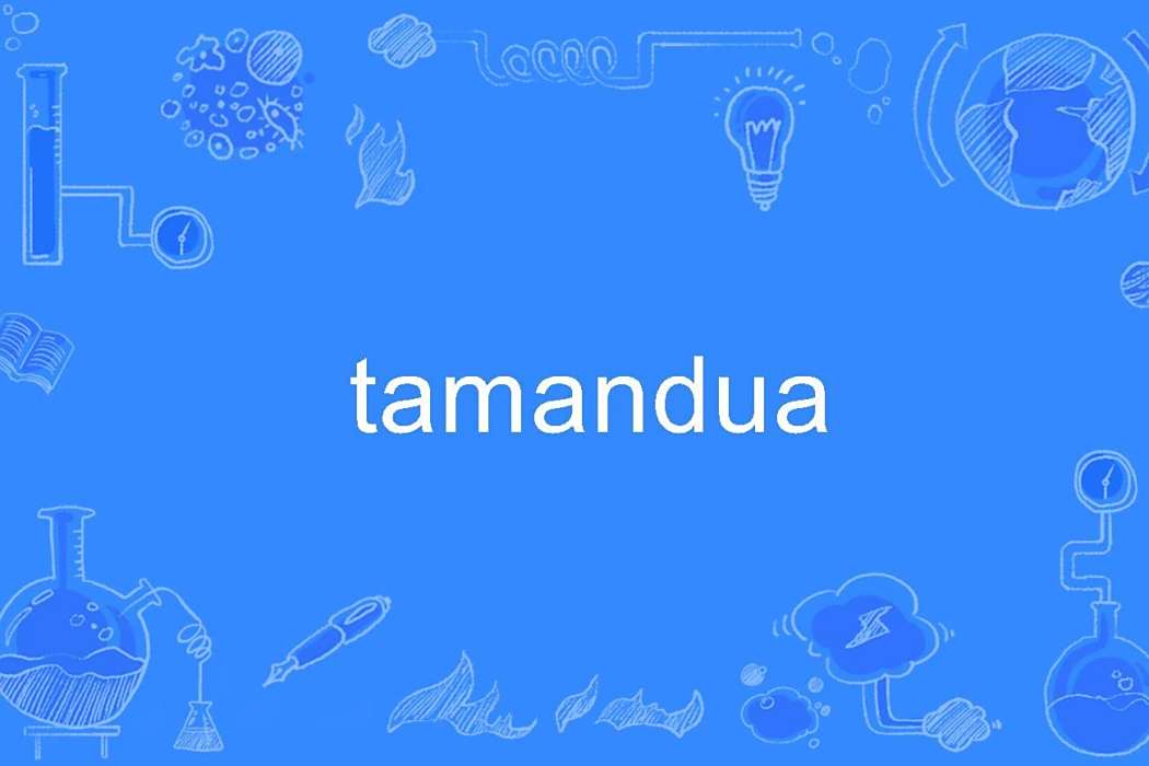 tamandua tamandua