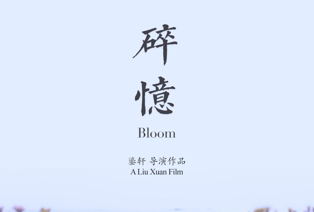 碎憶(鎏軒編劇導演電影作品) 碎憶(鎏軒編劇導演電影作品)