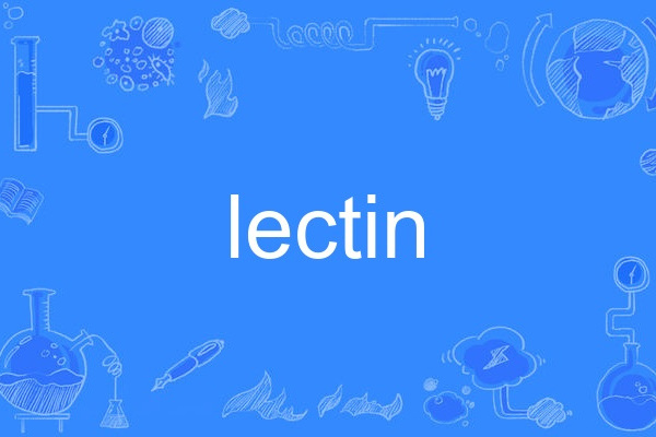 lectin lectin