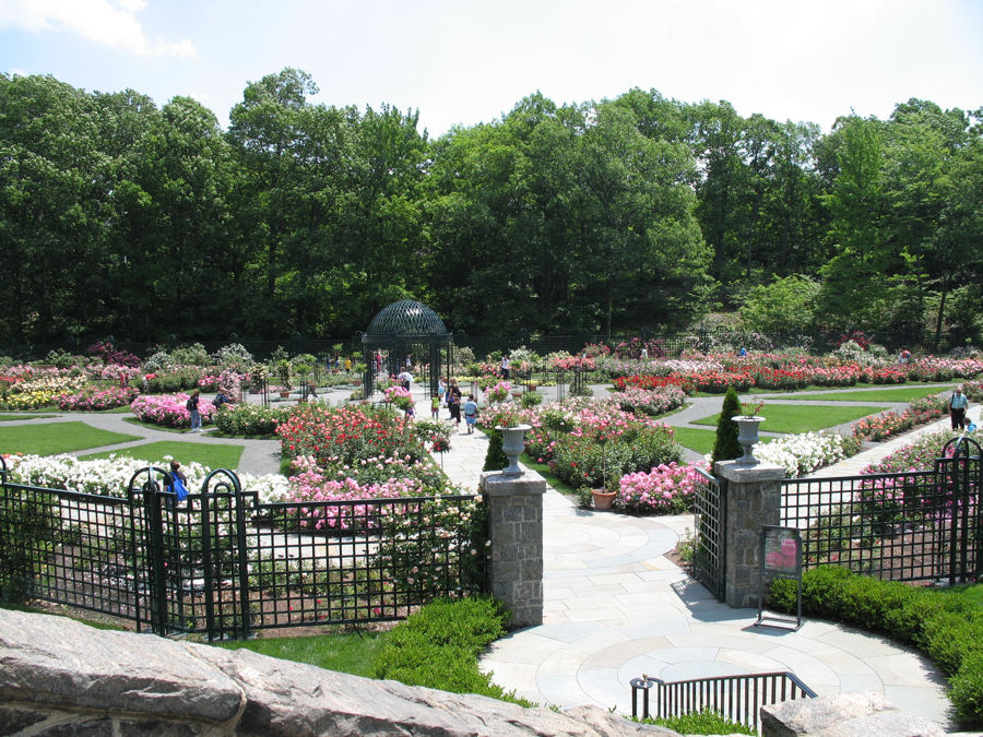 紐約植物園