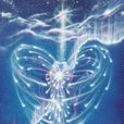 spirit(英文單詞) spirit(英文單詞)