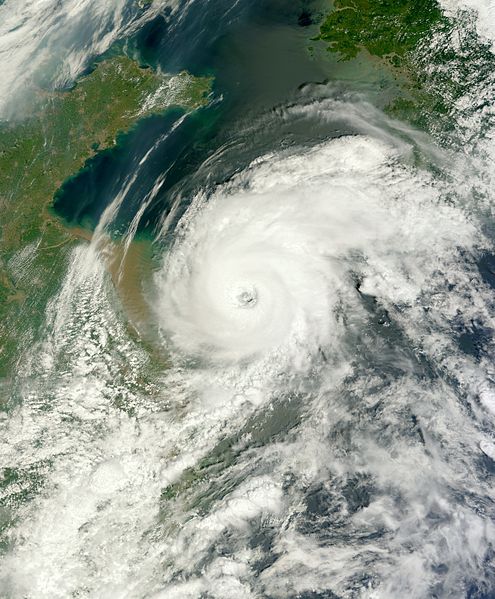 2012年第10號颱風“達維”