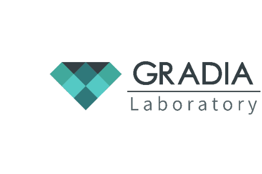 GRADIA LIMITED GRADIA LIMITED