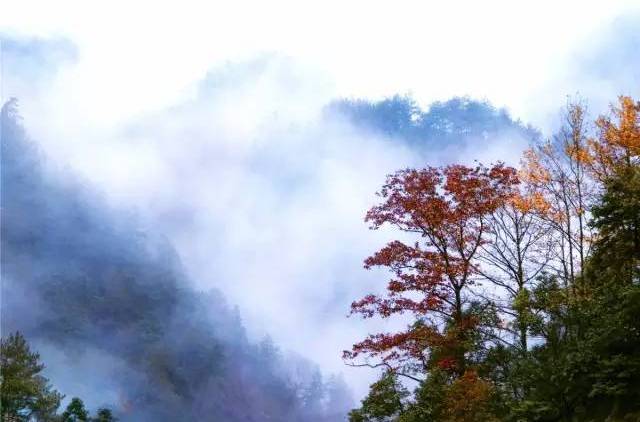 雲秋山 雲秋山