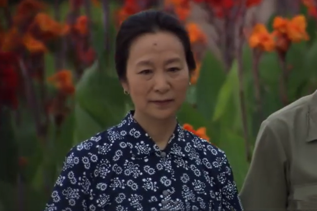 茶嫂 茶嫂