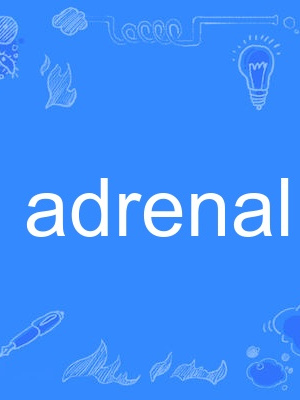 adrenal adrenal