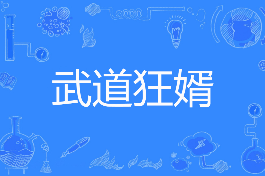 武道狂婿 武道狂婿
