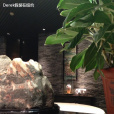 君庭中餐館 君庭中餐館