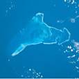 塞拉納島