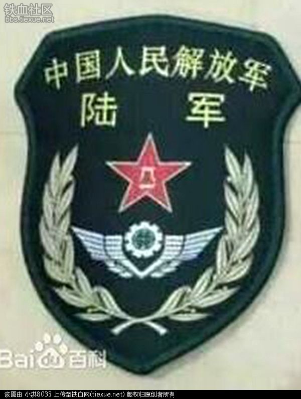 中國人民解放軍陸軍臂章