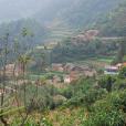 白岩子村(雲南昆明市沙朗鄉下轄村) 白岩子村(雲南昆明市沙朗鄉下轄村)