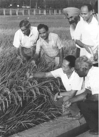 印度農業專家在湖南接受培訓