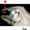 作家の貓2