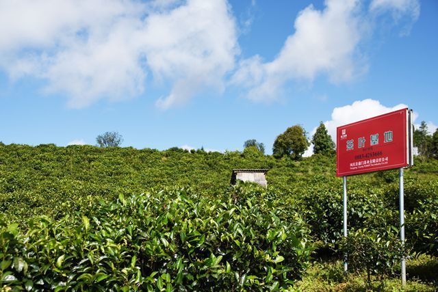 下茶業村 下茶業村