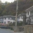 白峴村 白峴村
