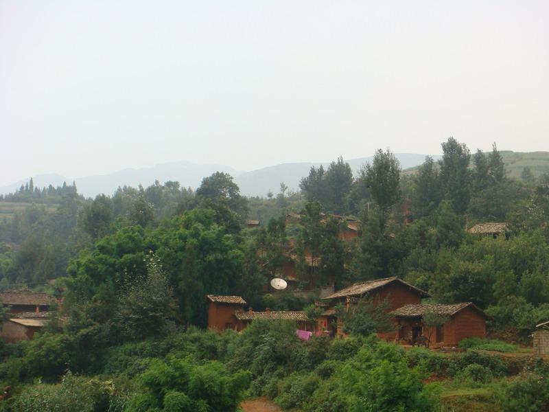 大治租村 大治租村