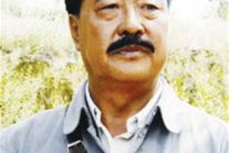 林宏(中國內地男演員) 林宏(中國內地男演員)