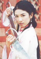 臥虎藏龍(2001年邱心志、何潤東等主演電視劇)