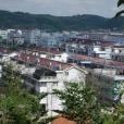 岙元村 岙元村