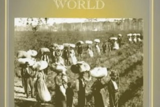 From Slavery to Emancipation in the Atlantic World From Slavery to Emancipation in the Atlantic World