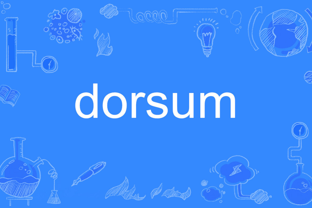 dorsum dorsum