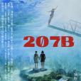 207B 207B