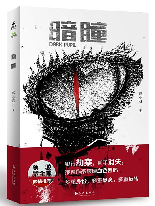 暗瞳(2023年長江出版社出版的圖書) 暗瞳(2023年長江出版社出版的圖書)