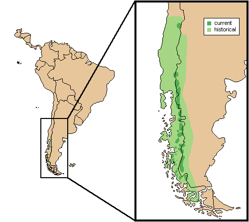 智利馬駝鹿分布圖
