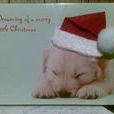 Christmas Card Christmas Card