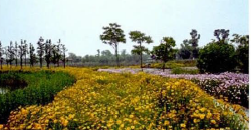 蘇州太湖國家濕地公園