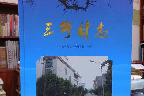 三街村志 三街村志